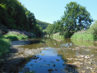 Donauversinkung